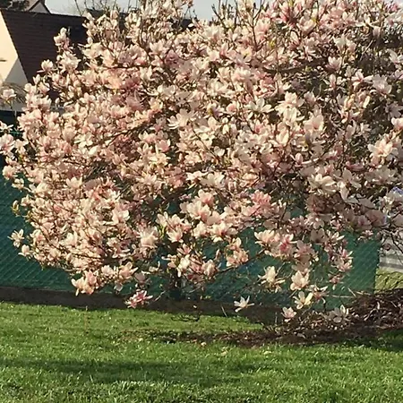 Jardin De Campagne * Ully-Saint-Georges