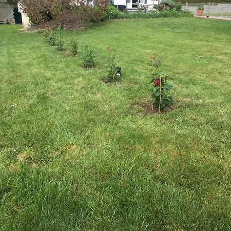 Vakantiehuis Jardin De Campagne Ully-Saint-Georges