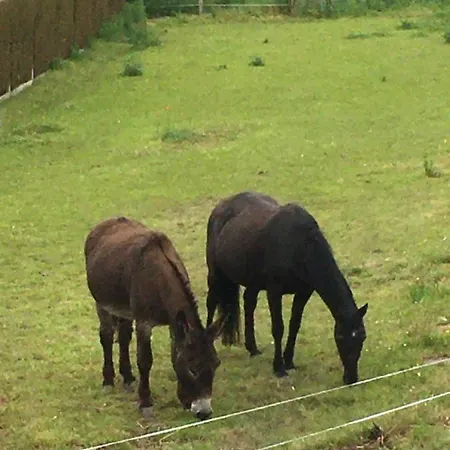 Vakantiehuis Jardin De Campagne